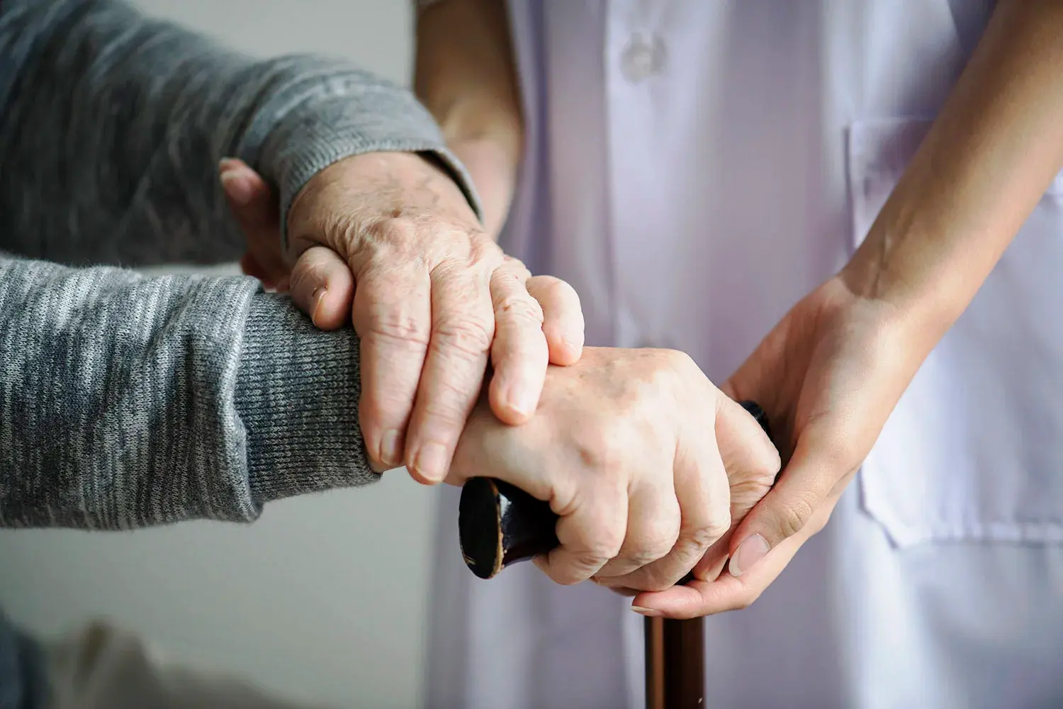 mi adulto mayor: confianza y seguridad